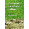 Chrousti na zábradlí balkónu - Pavel Pecina