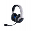 Razer Kaira Pro Hyperspeed (2022) (RZ04-04030200-R3G1)