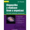 Diagnostika a vitalizace firem a organizací - Jiří Plamínek