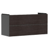 Hansgrohe Xevolos E - Umývadlová skrinka 118x58x48 cm, 2 zásuvky, matná sivá/tmavý dub 54186730