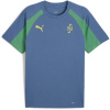 Puma Neymar Jr BNA 2.0 T-Shirt Adults Blue L