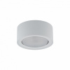 NOWODVORSKI FLEA WHITE 8202