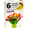 ČAJOVÉ SVIEČKY Tulipány (Tulips) – 6ks
