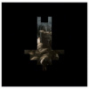 Behemoth - I Loved You At Your Darkness [CD]