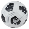 Futbalová lopta Nike Club Elite