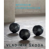 Mysterium Cosmographicum KANT - Vladimír Škoda