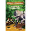 Monštrum Triceratops - Stone Rex