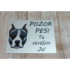 Kovová tabuľka Pozor Pes