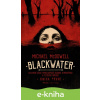 E-kniha Blackwater: kniha první - Michael McDowell