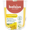 Bolsius True Scents Mimosa 73 x 80 mm