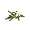 RidgeMonkey Rovnátko Connexion D-Rig Kickers Small Weed Green 10ks