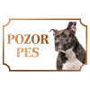 Americký bulteriér - Kovová tabuľka POZOR PES