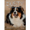 Dusty 5: Nebezpečné prázdniny - Jan Andersen