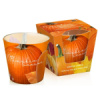 Bartek Pumpkin Season svíčka ve skle 115g