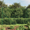 zahrada-XL Drôtený plot zelený 1,6x25 m 153916