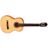 Koncertná gitara Pro Arte GC 210 II 4/4 veľkosť