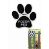 Chopo Cedulka Plastová Pozor pes Tlapka 15 x 15 cm