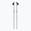 Nordic walking palice Fizan R-evolution grey/ocean