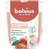 BOLSIUS Peach 313 g