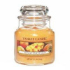 Yankee Candle Vonná sviečka Mango Peach Salsa 104 g