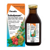 Salus Floradix Saludynam 250 ml roztok