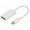 Adaptér DisplayPort 1.1 bilá Vlastnosti Full HD