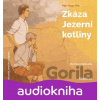 Zkáza Jezerní kotliny (audiokniha pro děti) - Jaroslav Foglar, Petr Hugo Šlik