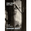 STARÁ PRAHA JAK JI VIDĚL ZIKMUND REACH (Vladimír Filip)