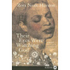 Their Eyes Were Watching God (Zora Neale Hurston,Valerie Boyd)(Brožovaná)