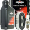 OLEJ, FILTER, SVIEČKA PRE KOSAČKU BRIGGS & STRATTON SAE30 550e