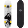 Skateboard Meteor Stars