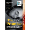 The Promise - Damon Galgut