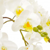 Umelá orchidea s Vidaxl Pot White 60 cm (Umelá orchidea s kvetináčom vidaXL biela 60 cm)