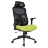 Kondela Kancelárske kreslo, zelená a čierna sieťovina, SULIVAN