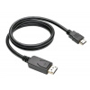C-Tech CB-DP-HDMI-10