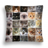Vankúš - Cushion Cat 37 Mosaic Collage Mačacie tváre (Vankúš Cat 37 Mosaic Collage's Cat ústa pl)