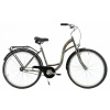 Mestsky bicykel - Dámske mestské bicykle Damka 28 Svetlo muž nová (Dámske mestské bicykle Damka 28 Svetlo muž nová)