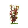 Hagen Marina Red Ludwigia 20 cm