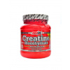 Amix Creatine monohydrate 300 g