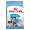 Royal Canin Giant Starter Mother&Babydog 15 kg