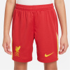 Nike Liverpool Home Shorts 2024 2025 Juniors Red 9-10 rokov