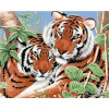 Maľovanie podľa čísel – Tigre dvojčatá (Howard Robinson), 40 × 50 cm, napnuté plátno na rám 8596530059936