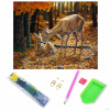 RealG RC-K-179 Diamantové maľovanie na ráme 5D, 30 x 40 cm, srnky
