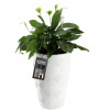 Kvetináč plast biely Kadax 38,5 cm x 38,5 x 58,5 cm