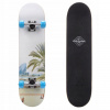 Skateboard Meteor Beach