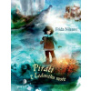 Piráti z Ledového moře