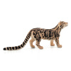 Animal Planet Leopard číhajúci