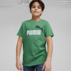 Puma chlapčenské tričko 586985-76 green