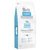 BRIT Care Dog Grain-free Junior Large Breed 12 kg