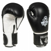Boxerské rukavice DBX BUSHIDO ARB-407a 6 oz